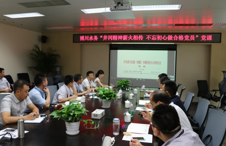 井冈心灵薪火相传 不忘初心做合格党员-公司召开“两学一做”专题教育汇报会