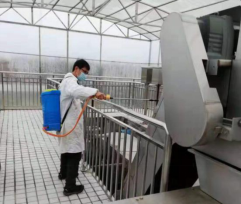 微信图片_202002122147414 微信图片_202002122147414