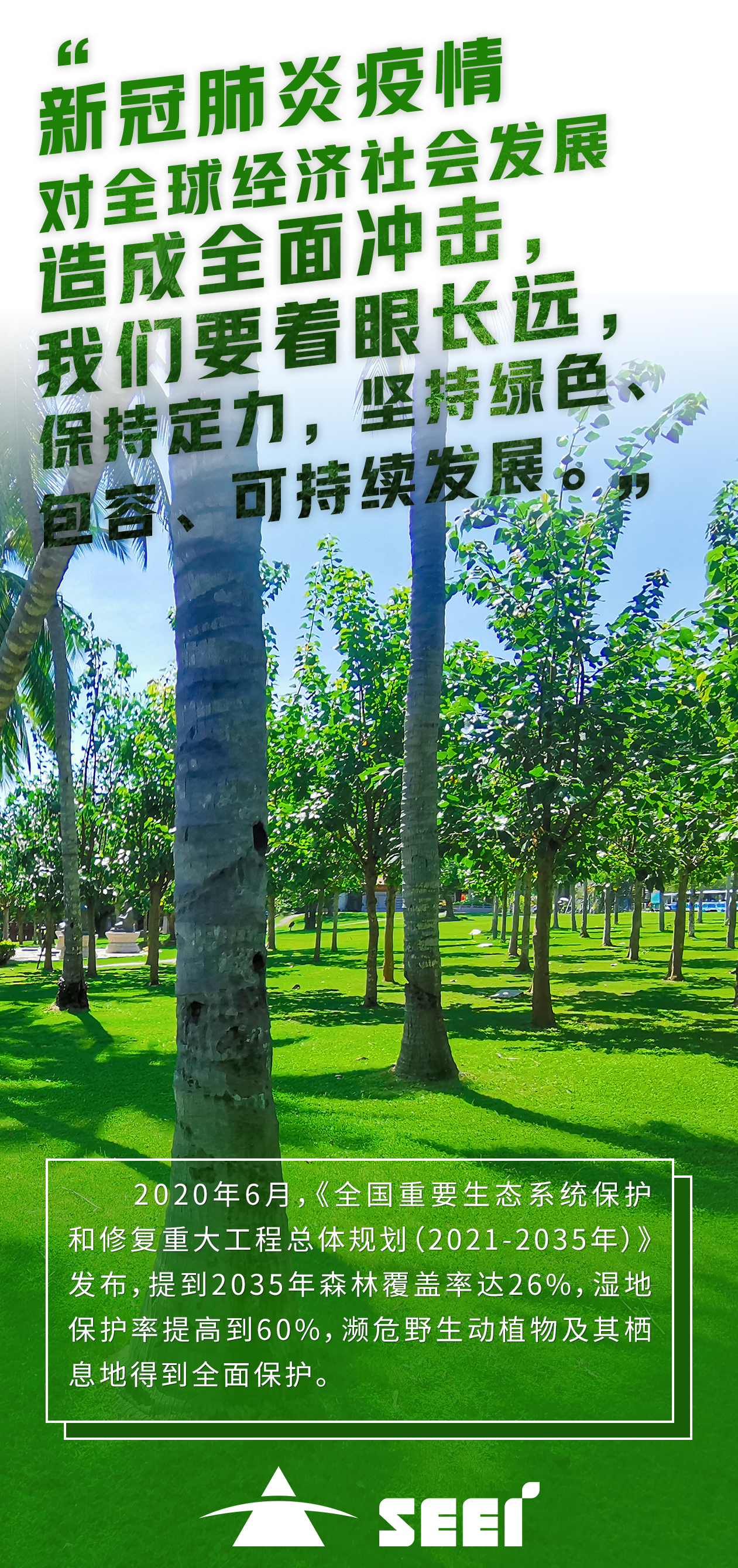 4清新环境-张莹 4清新环境-张莹