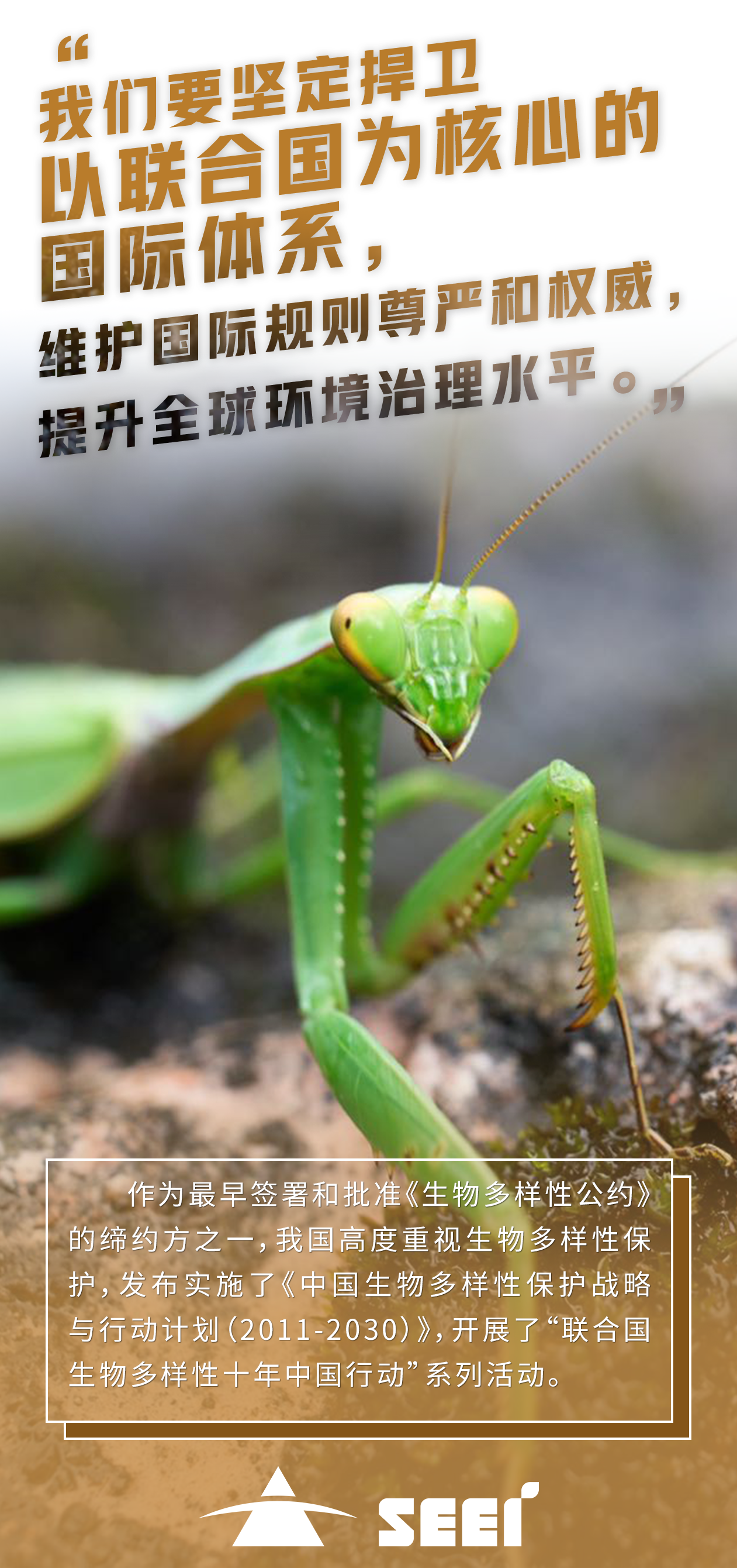 6四川4008云顶集团集团-陈奕阳 6四川4008云顶集团集团-陈奕阳